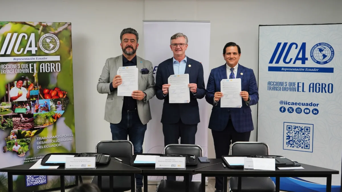 El Ministerio de Agricultura, Ganadería y Pesca (MAGP), el Instituto Interamericano de Cooperación para la Agricultura (IICA) en Ecuador, y el Clúster Bananero y Platanero del Ecuador suscribieron un Convenio Marco de Cooperación.