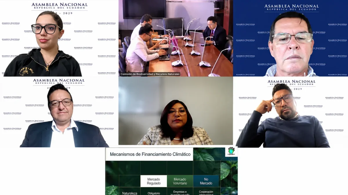 Lilian Jara expuso ante la Comisión de Biodiversidad sus observaciones al proyecto de reforma sobre cambio climático.