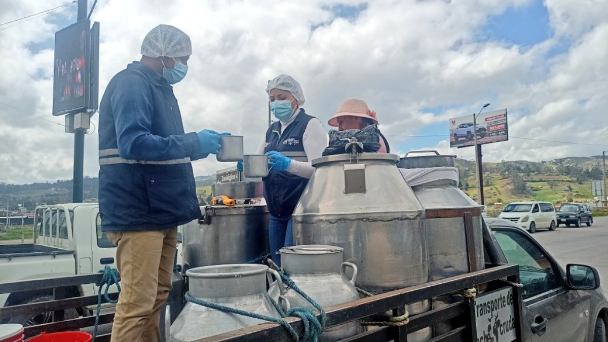 Personal técnico de Agrocalidad realiza evaluaciones del cumplimiento de parámetros de inocuidad y calidad en producción lechera