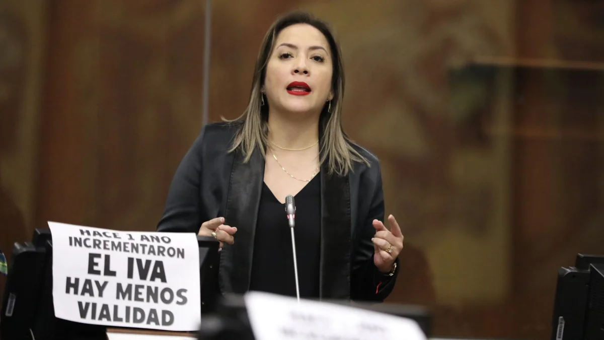 Ana María Raffo, asambleísta de la Revolución Ciudadana, presentará una acción de protección contra la sanción.