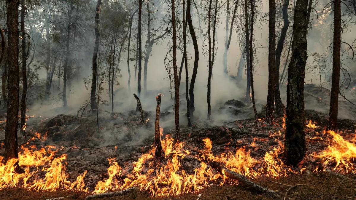 Las altas temperaturas y los vientos dificultan las labores de control de los incendios forestales.