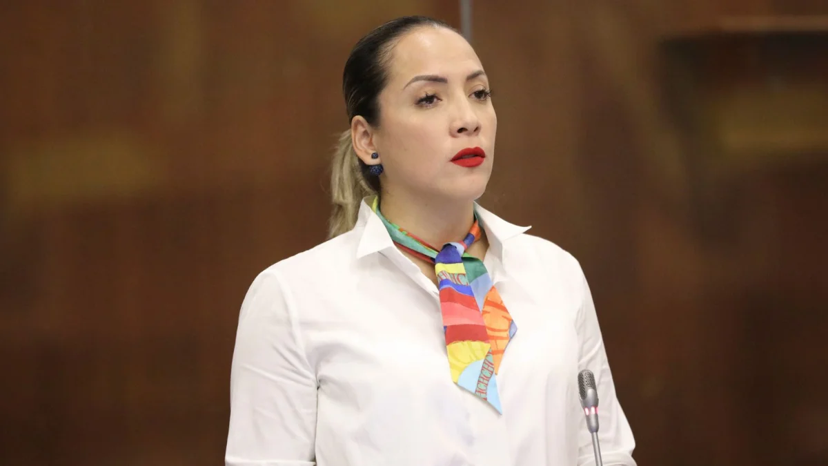 Ana María Raffo es asambleísta de la Revolución Ciudadana.
