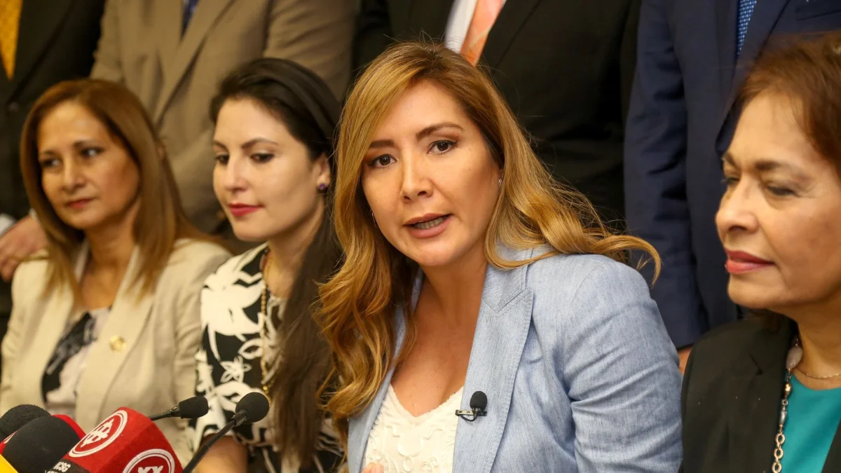 La exasambleísta por Guayas, Dallyana Passailaigue.