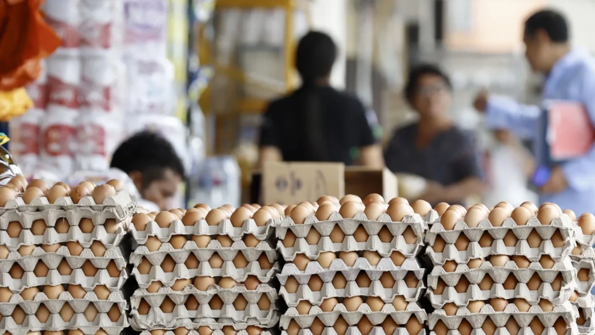Estos huevos se enviaron a clientes de servicios de alimentos y comercios minoristas en Texas, Oklahoma, Luisiana, Arkansas, Nuevo México y Misisipi (foto referencial).