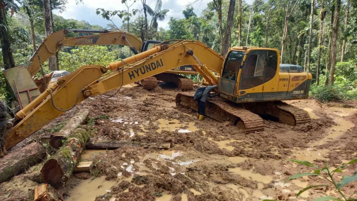 En Tena y en Yanzaza, epicentros de la minería ilegal amazónica, comprar una excavadora de 250 mil dólares es, según los reporteros, tan fácil como comprar una moto.