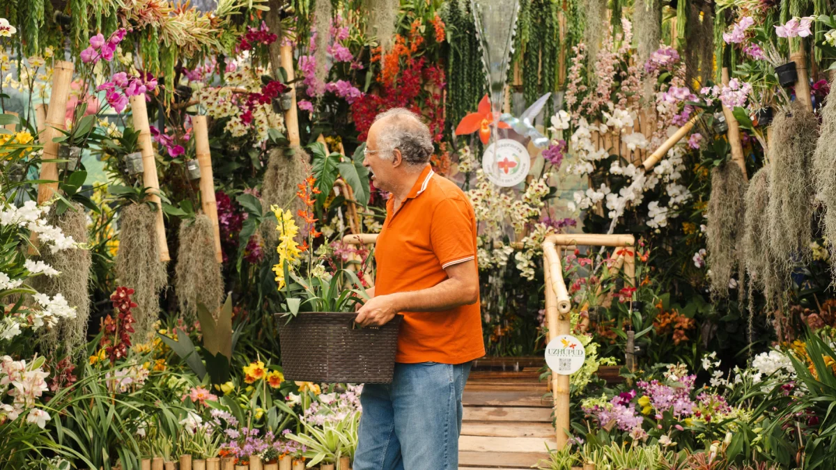 Más de 25.000 ejemplares de orquídeas se expondrán durante la primera feria botánica de Ecuador.