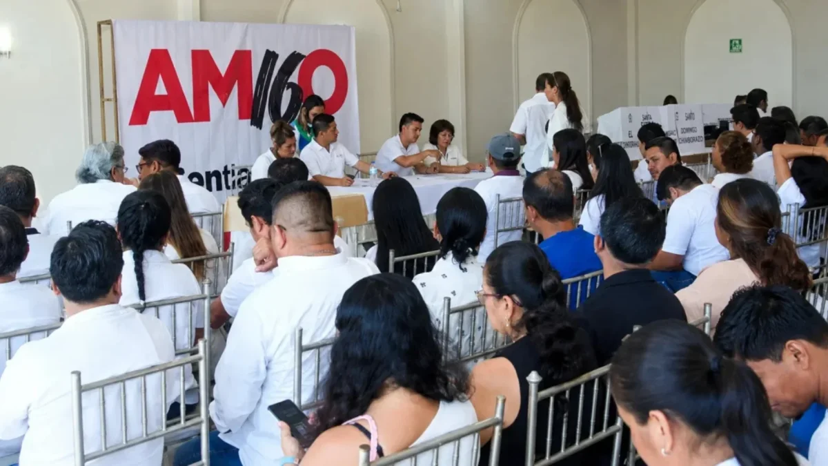 Organización política Amigo.