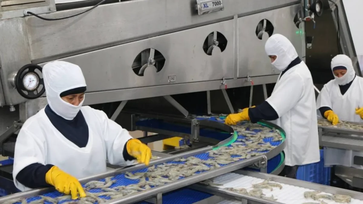 Santa Priscila es una de las mayores empresas camaroneras y exportadoras de camarón de Ecuador.