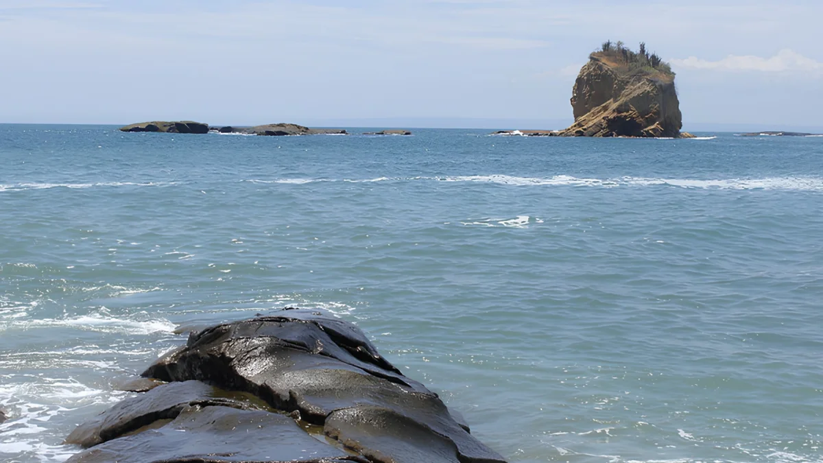 Formaciones rocosas en la costa, mientras la vida marina enfrenta riesgos por el aumento de la temperatura del océano.