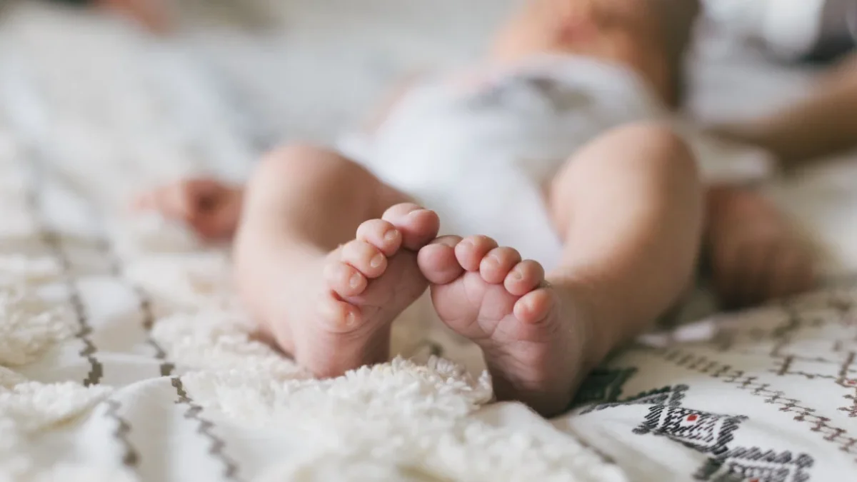 Referencial. Se cambiarían las formas para adoptar en Ecuador.