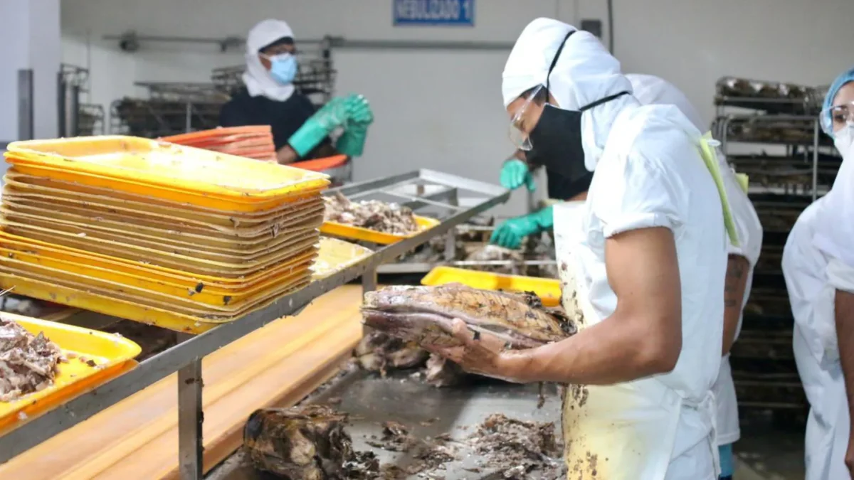El sector atunero de Ecuador es de los más beneficiados con TLC con Canadá.