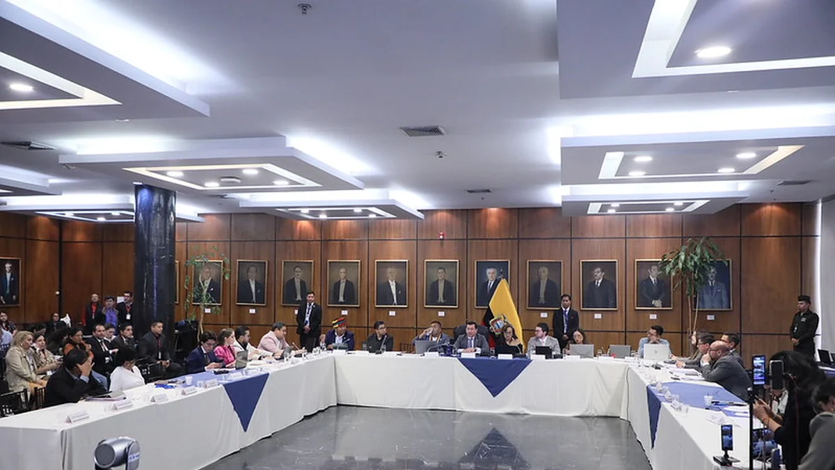 El periodista Álvaro Espinosa compareció en la comisión de Fiscalización por el juicio político a Inés Manzano.