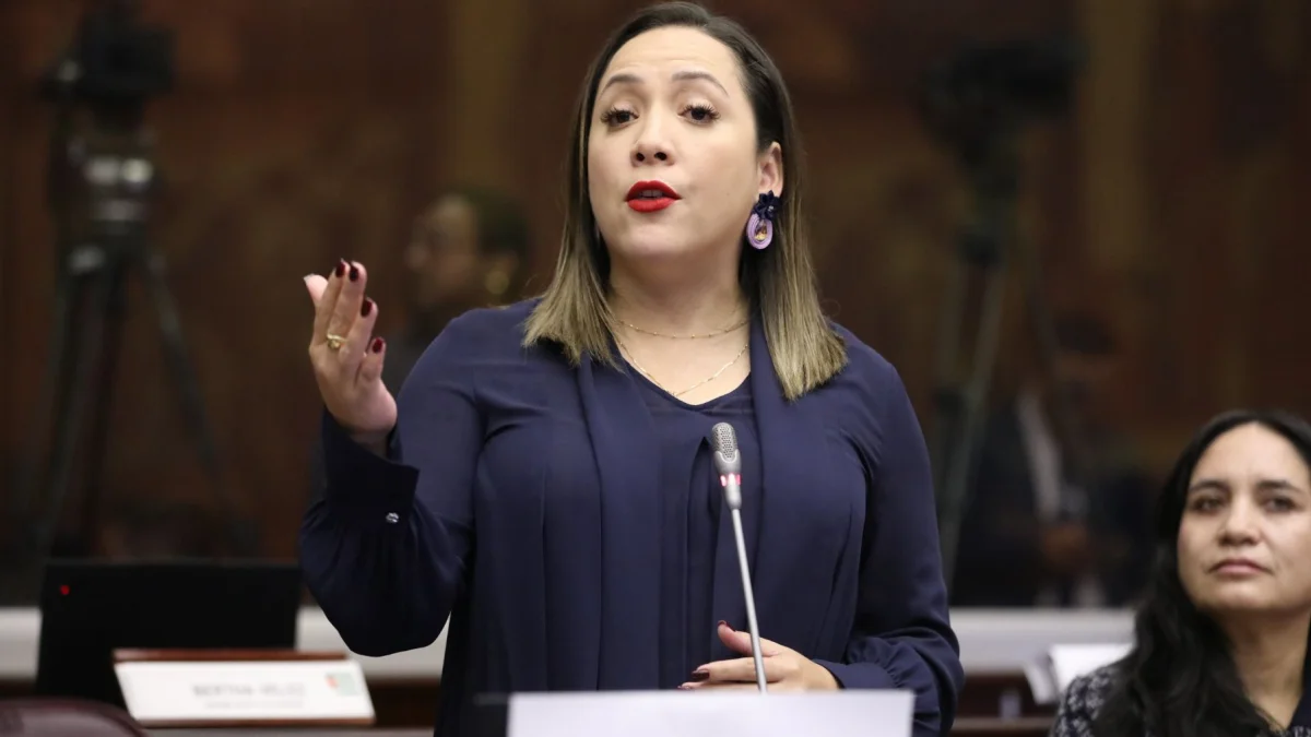 Ana María Raffo es asambleísta por Guayas de la Revolución Ciudadana. Tiene una licenciatura en Diseño y Producción Audiovisual y una maestría en Dirección de Comunicación.
