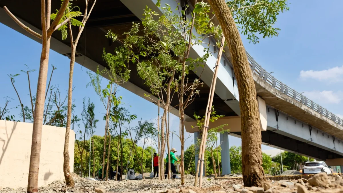 El primer Bosque de Bolsillo de Samborondón transformará un espacio bajo el puente hacia Guayaquil en una nueva área verde para la comunidad.