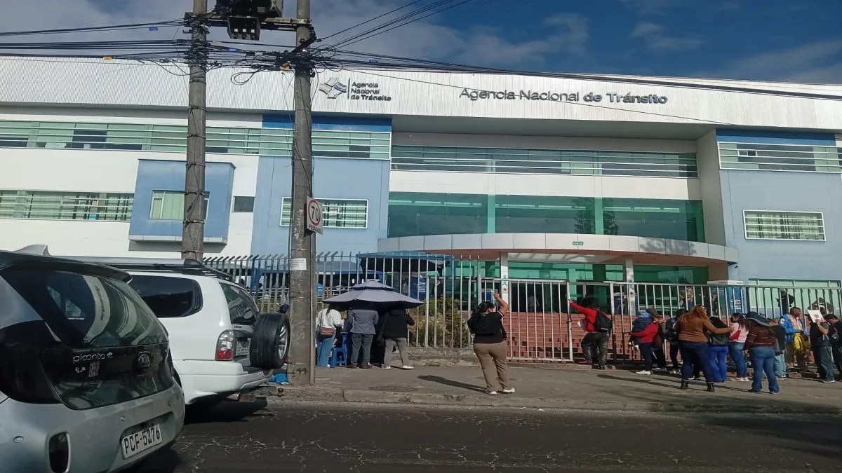 Decenas de personas acuden a diario a la ANT y forman largas filas para obtener la licencia de conducir.