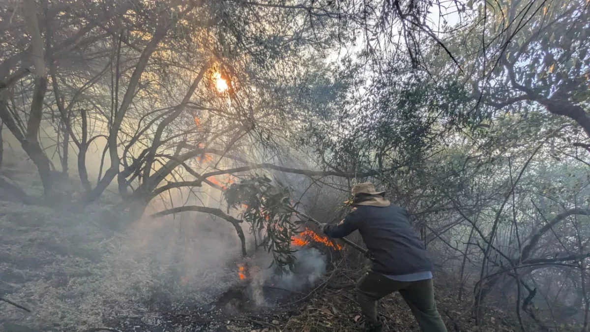 Itulcachi. Bomberos y ciudadanía controlaron el incendio forestal tras varias horas de trabajo y evitaron que las llamas se propagaran a otras áreas.