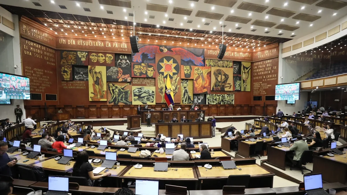 Sesión del Pleno de la Asamblea Nacional.