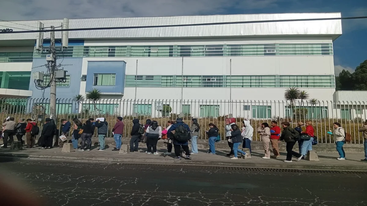 Las largas filas para renovar licencias evidencian el colapso del sistema de atención de la ANT.