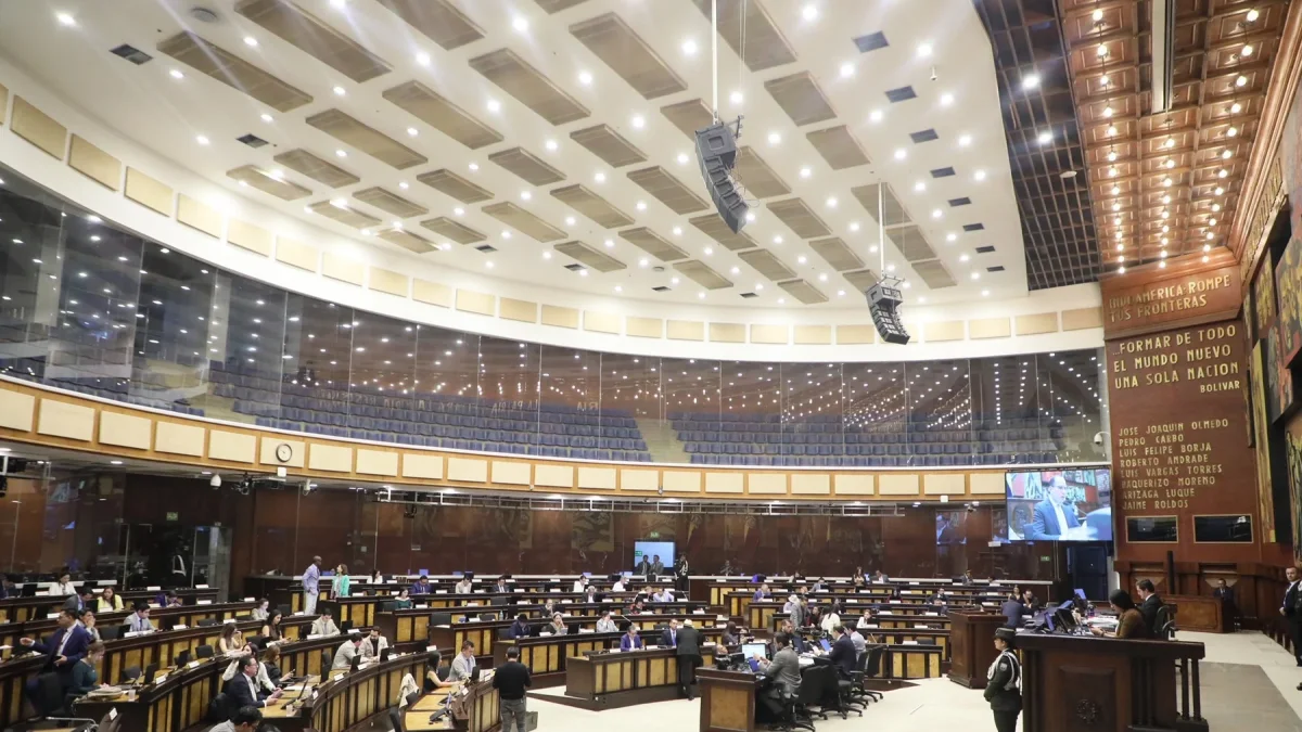 Sesión del Pleno de la Asamblea Nacional.