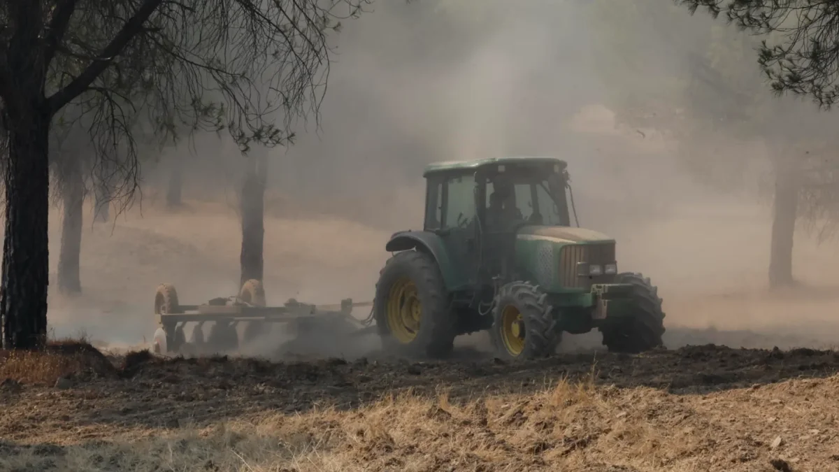 Maquinaria pesada realiza cortafuegos por el incendio de Niebla (Huelva).