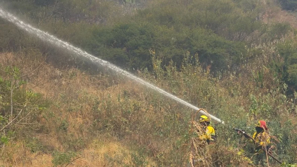 El incendio forestal en el sector de Rayocucho, Calacalí, se mantiene activo desde el 10 de agosto.