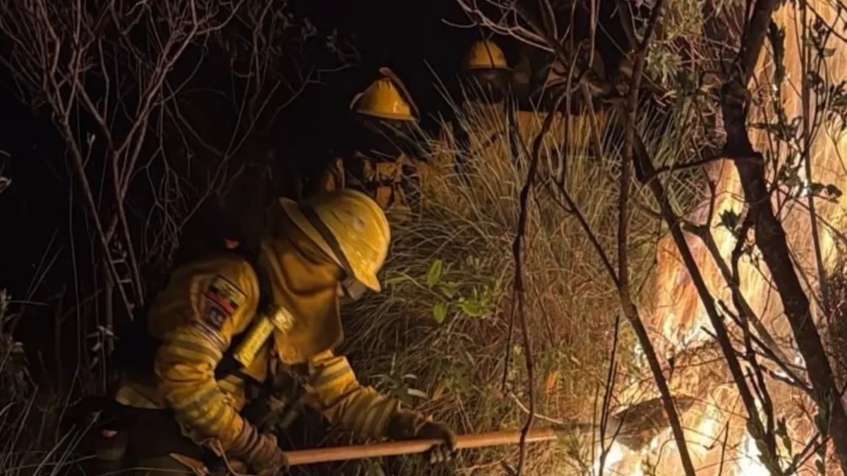 Bomberos trabajan para combatir un incendio forestal cerca de Quito.