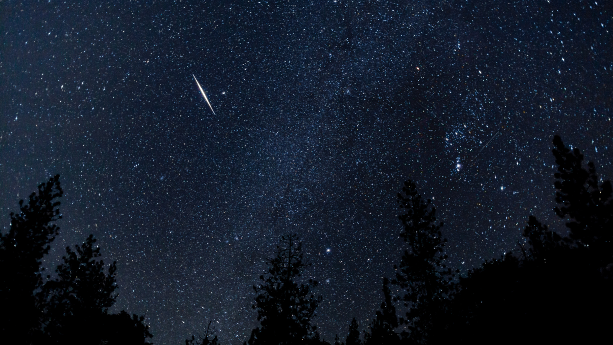 La lluvia de estrellas Perseidas alcanzará su máxima actividad durante la madrugada del 13 de agosto de 2026.