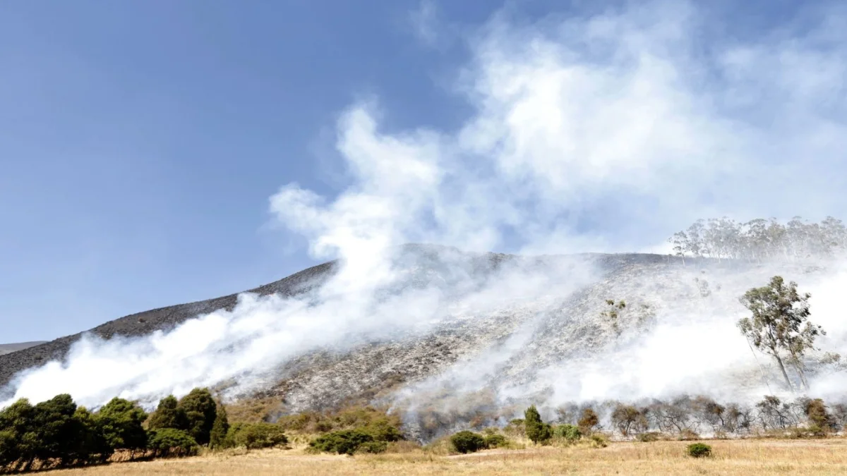 En el sector de Rayocucho, en Calacalí, el fuego fue controlado. No se registran líneas de propagación activas.
