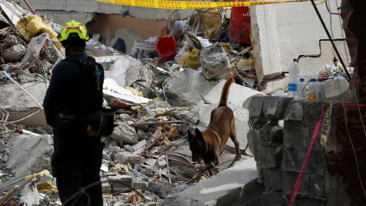 Un perro de rescate trabaja en una jornada de búsqueda en una zona afectada por el terremoto este 12 de agosto de 2026, en Cali (Colombia).