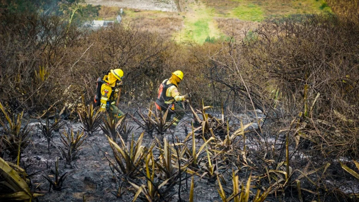 La vegetación seca y la baja humedad aumentan el riesgo de propagación del fuego en varias provincias del país. En Quito, en Pichincha, esta semana se han registrado varios incendios.