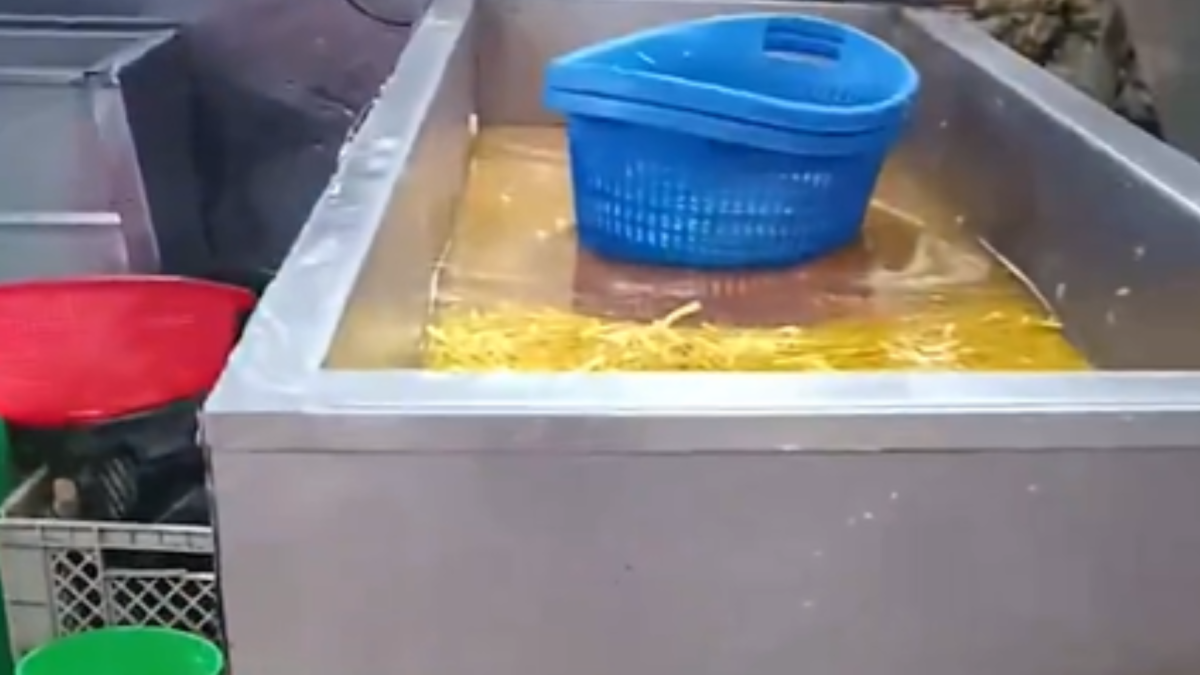 Arcsa clausuró una planta de snacks en Azogues, Cañar, luego de detectar varias deficiencias sanitarias.