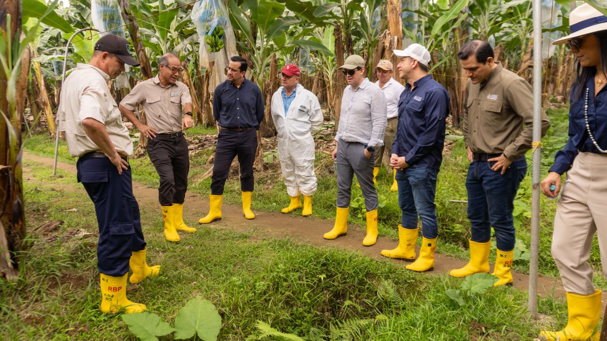 Representantes del FMI visitaron bananeras de Ecuador.