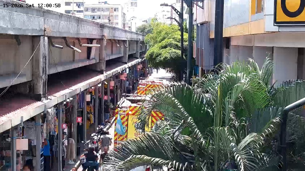 Bomberos atendieron una alerta en la zona de la Bahía.