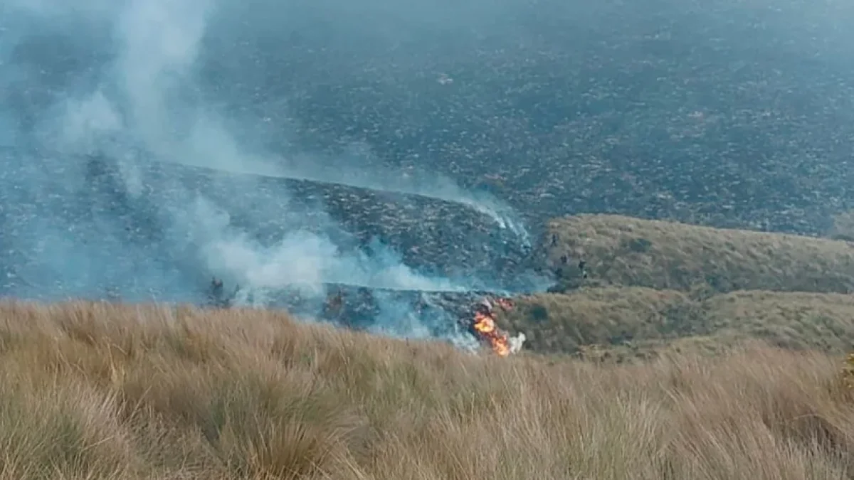 El incendio forestal en el cerro Mama Cotacachi fue extinguido tras seis días de labores y un operativo conjunto de emergencia.