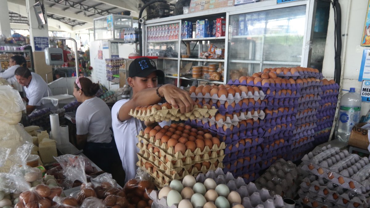 La cubeta de huevos está más cara, en Guayaquil se venden hasa $ 4,10 cuando antes costaba $ 3,50.