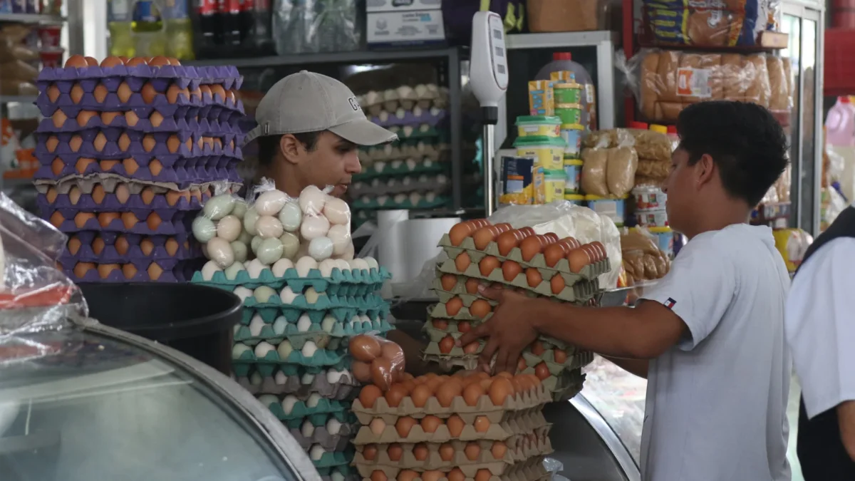 La menor producción de huevos, el sacrificio de gallinas ponedoras y el alto costo del maíz encarecen la proteína más consumida del país.