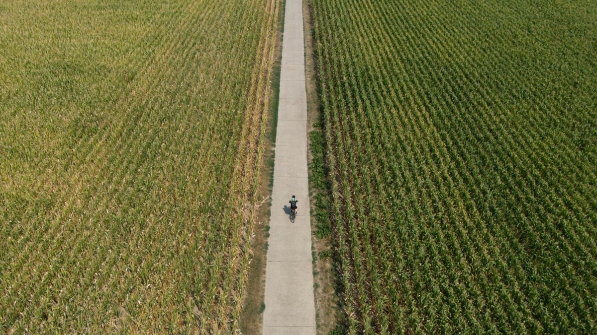 Una imagen tomada con un dron muestra a un hombre montando en bicicleta por campos de maíz.
