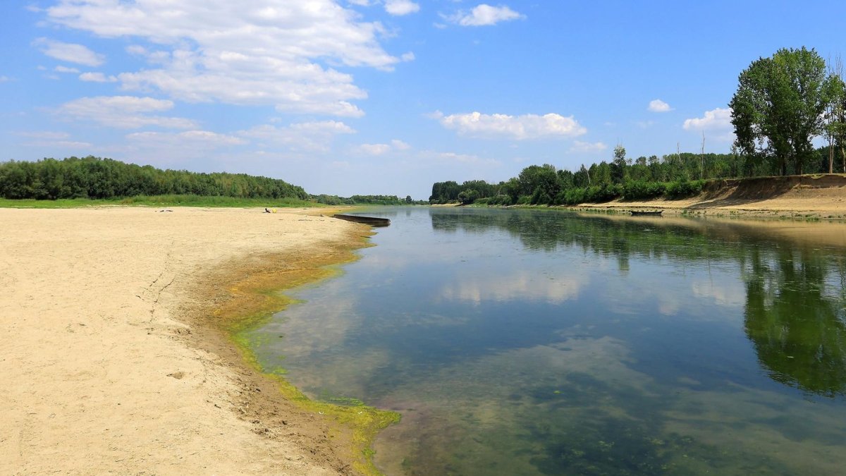 Bajo nivel del río Danubio a su paso por la localidad de Roseti, en Rumanía, en una imagen de principios de agosto.