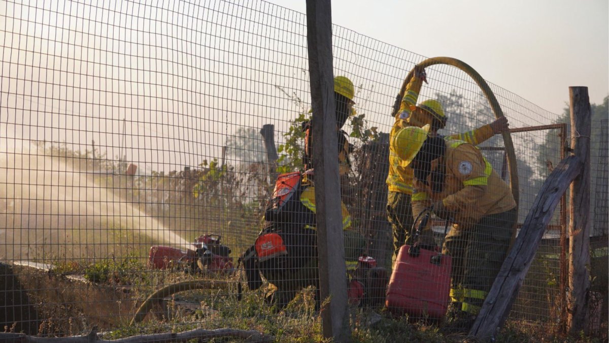 Ecuador reportó 1.314 incendios forestales entre julio y agosto; casi 9.800 hectáreas fueron afectadas.