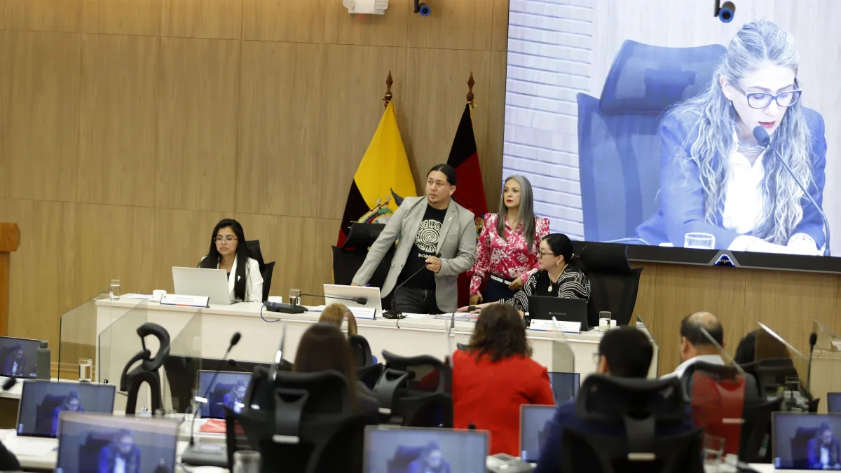 La Revolución Ciudadana tiene la mayoría de ediles en el Concejo. Cinco de seis buscan la reelección.