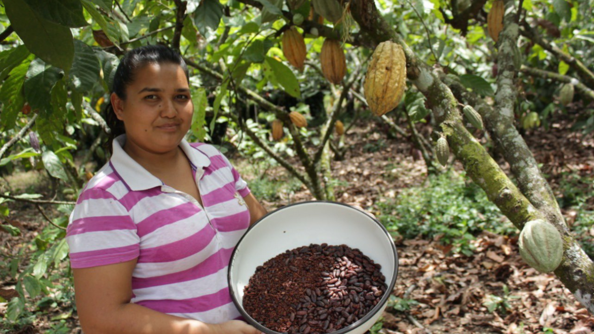Las cooperativas llegan al campo y a los pequeños productores.