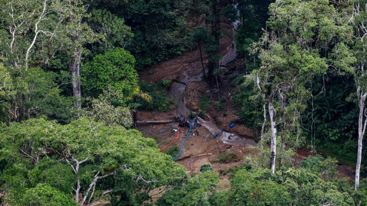 Un campamento clandestino de minería ilegal cerca del río Mangle este 14 de agosto de 2026, en la selva del Tapón del Darién.