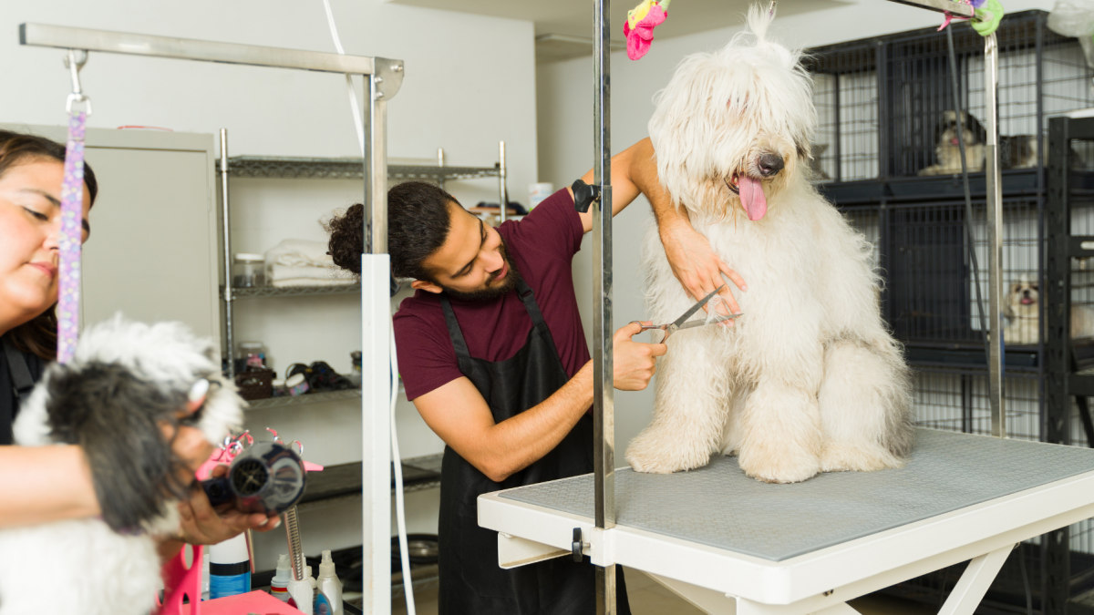 Referencial. Clientes y mascotas en una peluquería veterinaria de Ecuador
