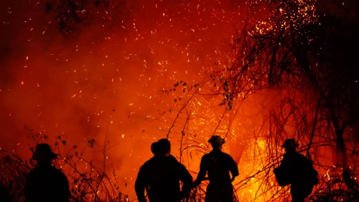 Brigadistas intentan sofocar los focos de fuego activos en el departamento del Tolima.