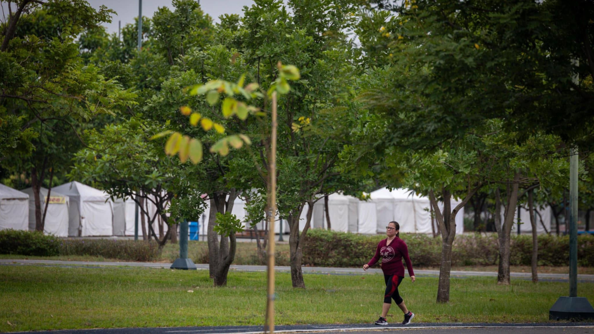 El parque Samanes cuenta con decenas de áreas verde para caminar.