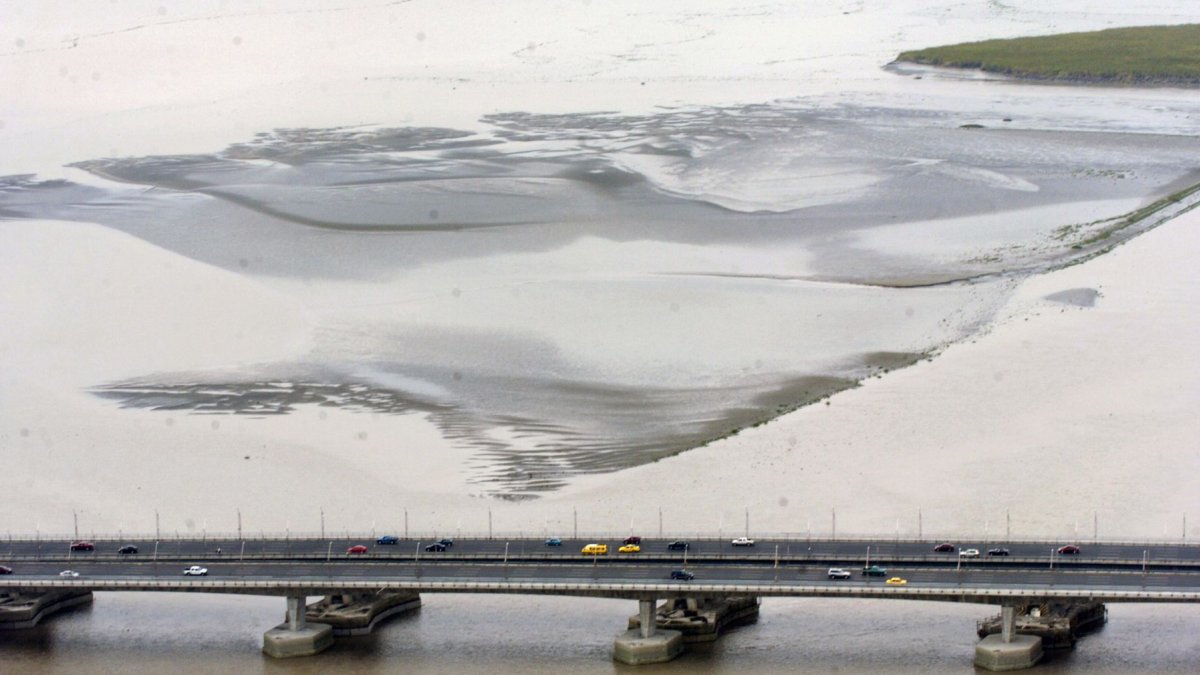 Ante las advertencias por la llegada del fenómeno de El Niño, ¿qué se ha hecho para mitigar los efectos de la tala del mangle, del crecimiento urbano y de la sedimentación de los ríos?