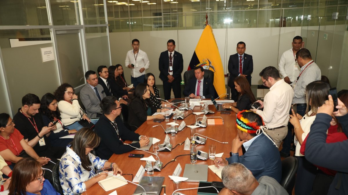La subcontralora de Auditoría Gabriela Sulca compareció en la mesa de Fiscalización por el caso Progen.