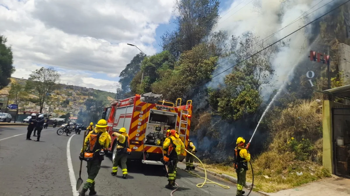 El incendio ocurrió el 26 de agosto en Monjas y afectó más de 1.200 metros cuadrados de vegetación.