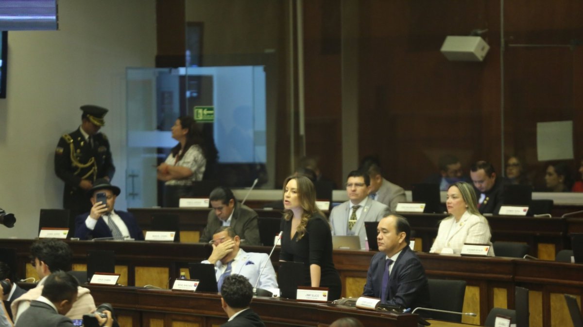 Mishel Mancheno defendió su iniciativa ante el Pleno durante el primer debate de la Ley Antimafias.