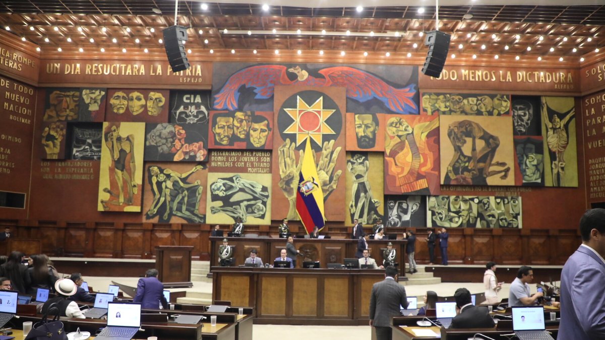El Pleno de la Asamblea se reunirá el domingo 30 de agosto para tratar el informe sobre Progen.